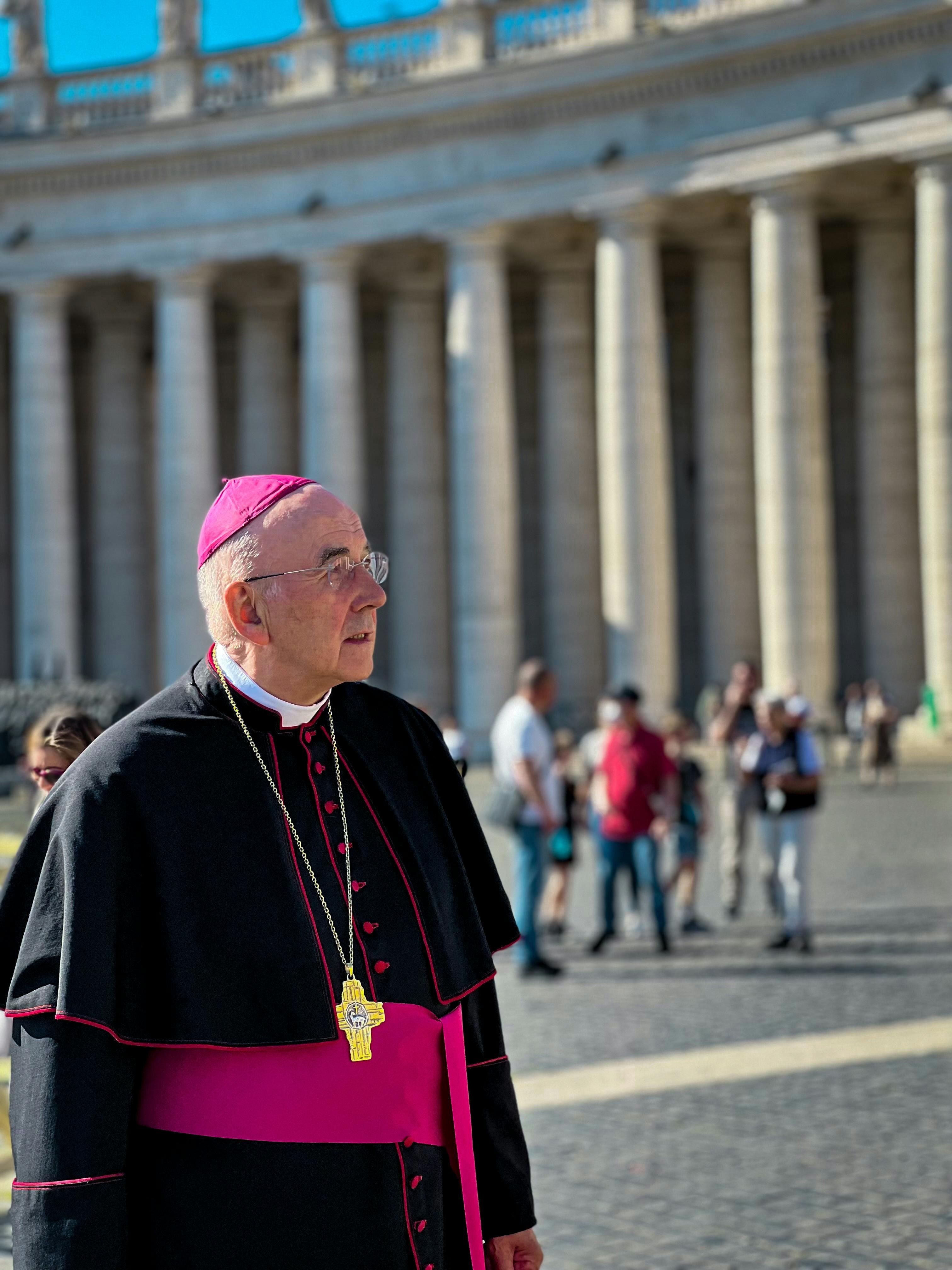 Book Review: "Catholicism" by Bishop Robert Barron
