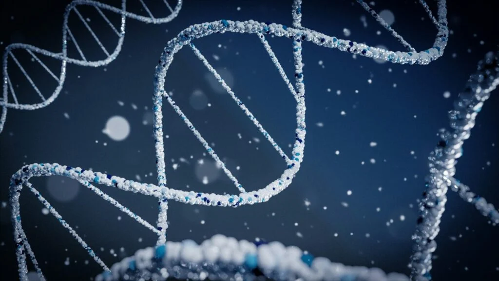 From Gift to Product: The Logic of IVF, Abortion, Eugenics, and Transhumanism