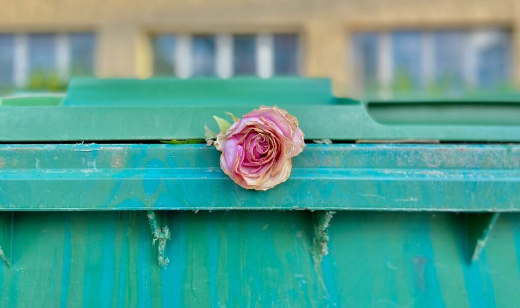 From Gift to Disposal: Euthanasia, Suicide, and the Christian Meaning of Life