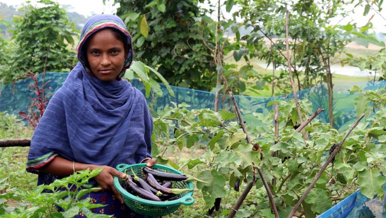 In Bangladesh, Caritas project puts Laudato Si’ into practice for poor families