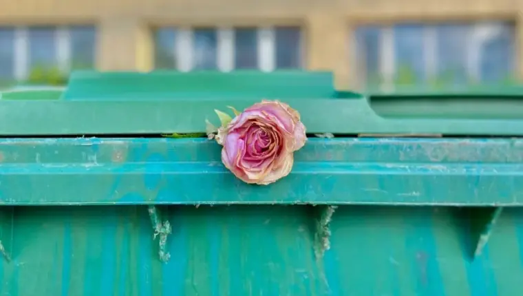 From Gift to Disposal: Euthanasia, Suicide, and the Christian Meaning of Life