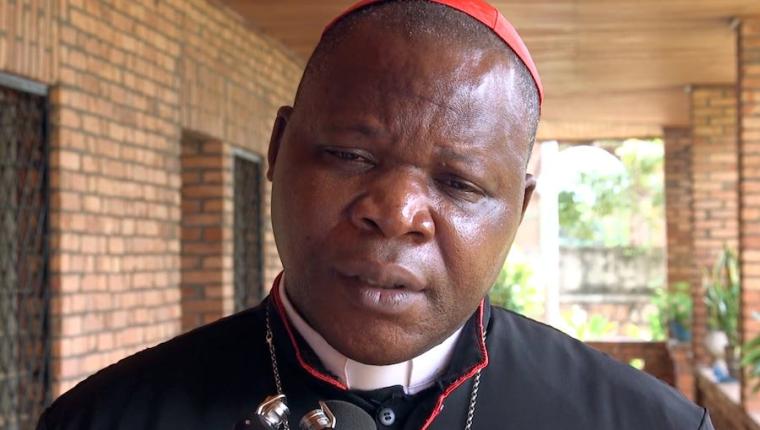 Why did Cardinal Nzapalainga meet Leo XIV?