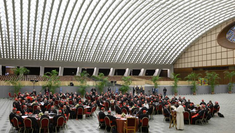 Cardinals confront a ‘wounded world’ at opening of synodal consistory