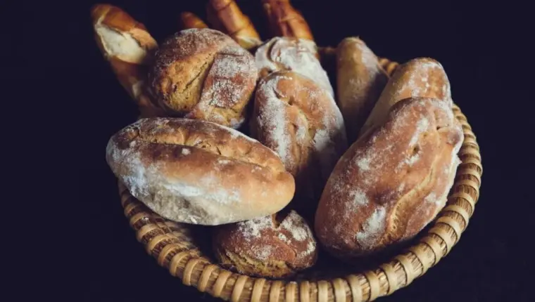 The Bread That Never Runs Out: 18th Sunday in Ordinary Time