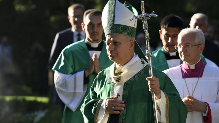 Pope Leo: Take time out of the daily bustle to ‘listen to the melodious voice’ of creation