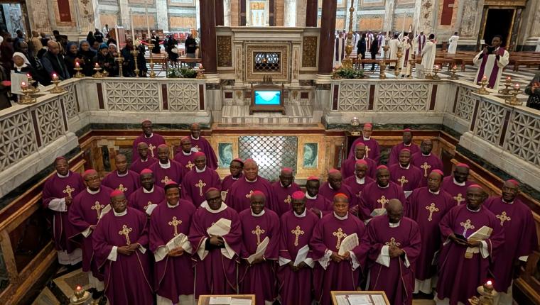 Synod study group proposes broader role for Catholics in bishops’ ad limina visits