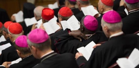 Leo and the synod’s canonical team