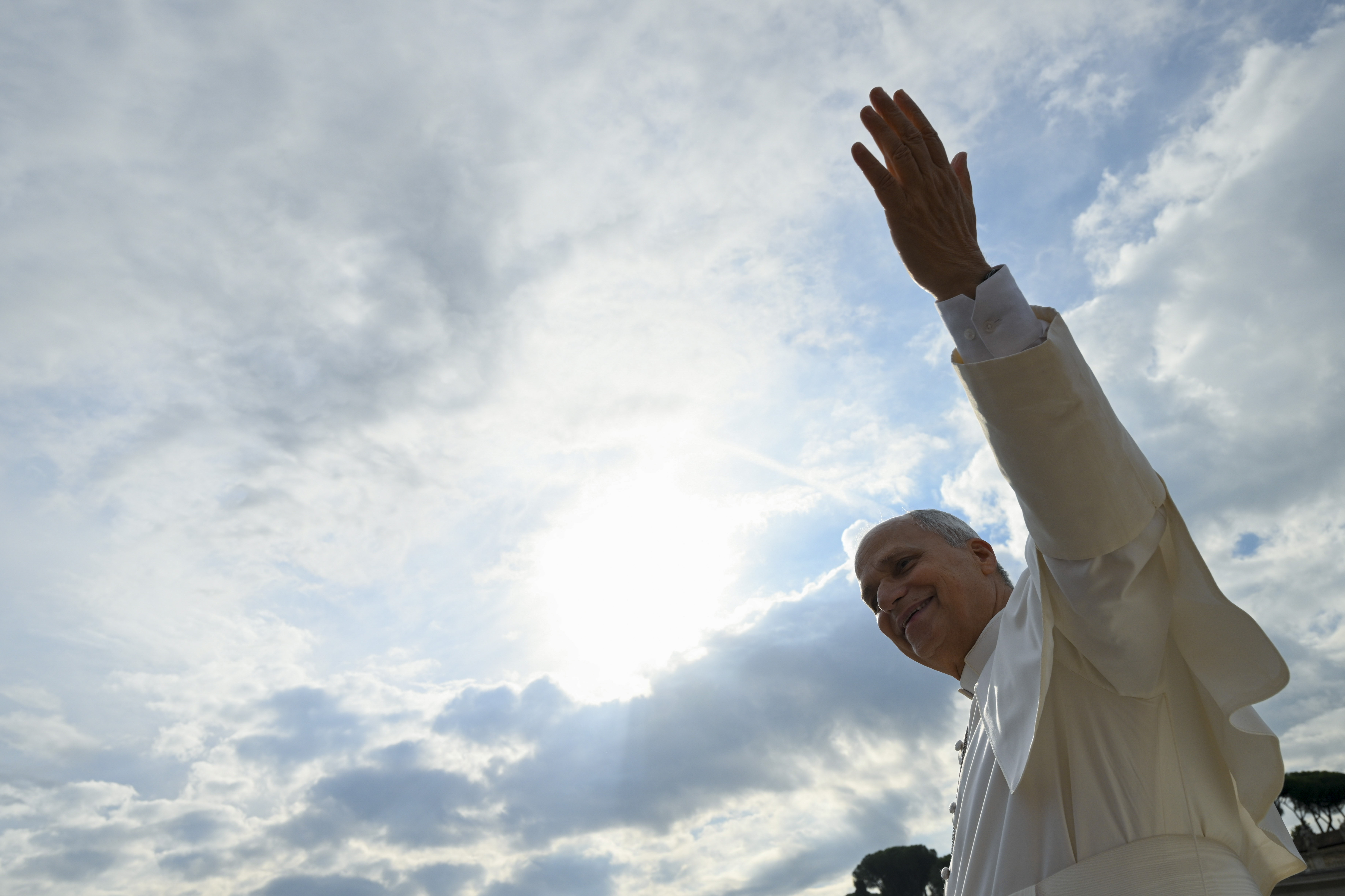 Pope Leo XIV to open international congress on infertility in Rome